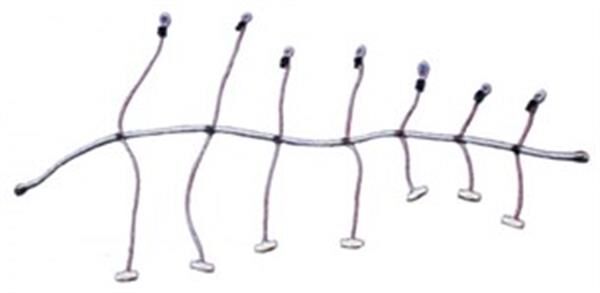 Yelken sarma lastiği (ahtapot) 8MMX200CM