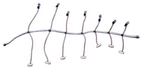 Yelken sarma lastiği (ahtapot) 8MMX300CM