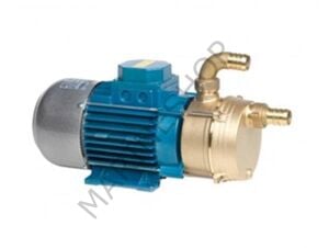 Ağır hizmet tipi su pompası 12/25 12V