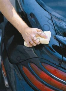 Shur-Dry PVA kurulama süngeri