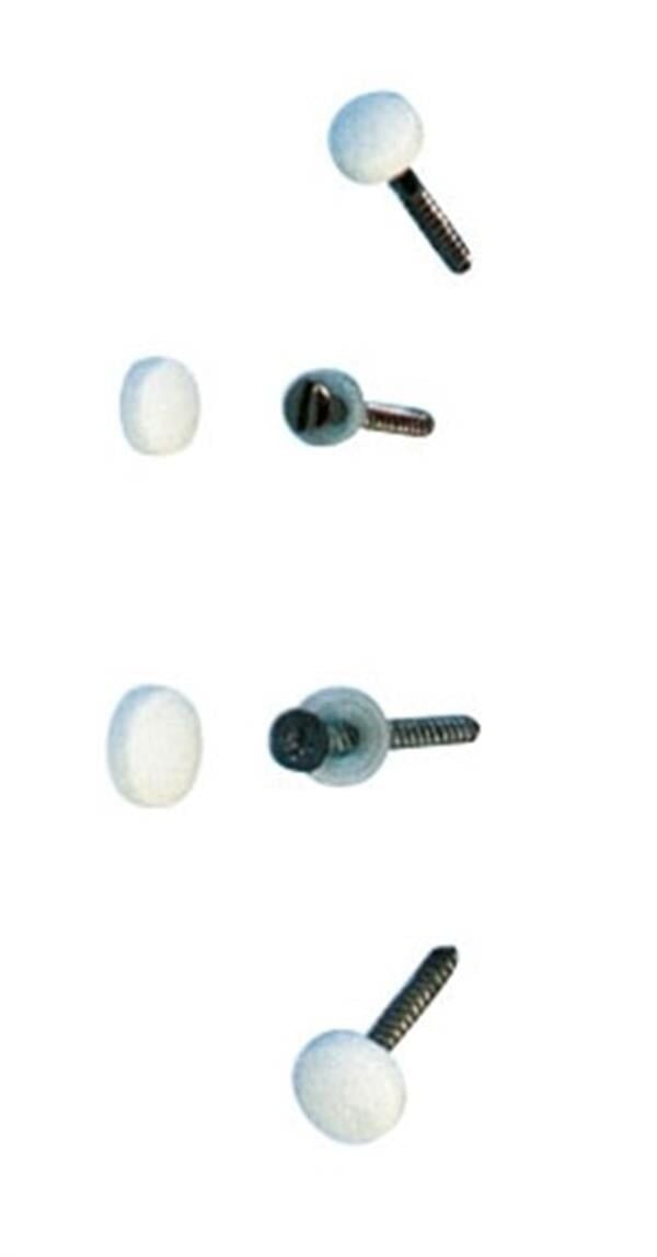 Vida Kapağı Büyük Beyaz