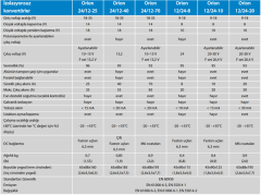 ORION NON-ISOLATED 24V/12V-25A