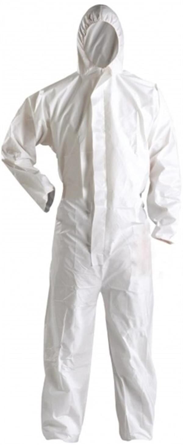 Kağıt Tulum Medium