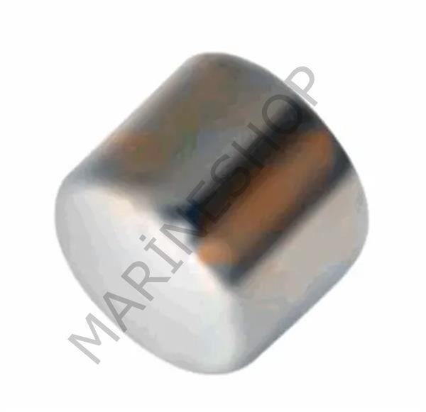 Maxwell SP2161 Magnet/Mıknatıs 6X4