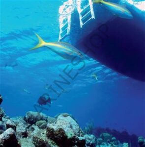 Double Deck Snorkel Dalış Sistemi
