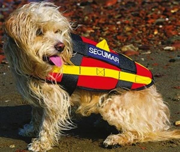 Köpek can yeleği 33x24cm