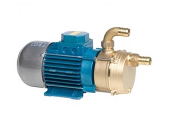 Ağır hizmet tipi su pompası 12/20 12V